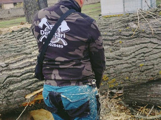 Defrisari - servicii profesionale! Curățare copaci! foto 19