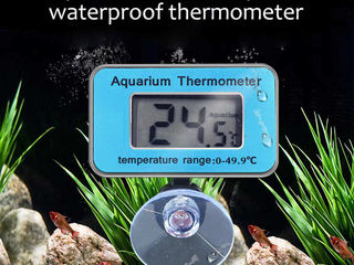 Termometru Digital pentru Acvariu cu Ventuza pe Baterii Термометр для аквариума Градусник foto 3