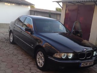 BMW 5 Series foto 5