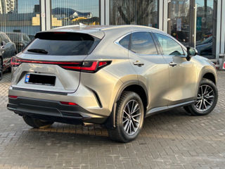 Lexus NX Series foto 3