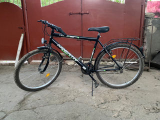 Bicicleta DHS Kreativ Life Joy