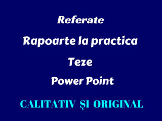 Referate! Teze! Rapoarte de practica!!! In ritm urgent!24 ore! foto 5