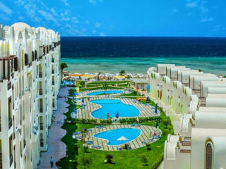 Egypt! "Gravity Sahl Hasheesh" 5*! Copii pina la 13 ani gratis! Din 26.06 - 8 zile! foto 10