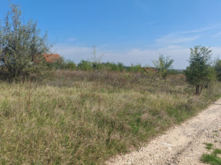 Gornoe. Lot pentru construcție. foto 3