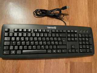 Keyboard + Mouse