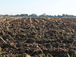 Lot de teren agricol / arabil