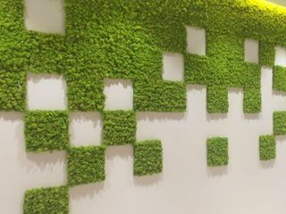 Вертикальное озеленнение,  gradini verticale, мох стабилизированный, muschi decorativi, licheni foto 9