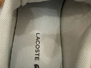 Красивые, фирменные кеды Lacoste, белого цвета foto 2