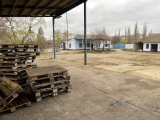 Zaim Промышленный холодильник  фото 3