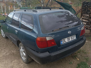 Nissan Primera