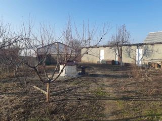 Se vinde casa satul Zirnesti r. Cahul foto 8