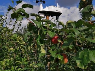 Stație meteo pentru agricultură foto 8