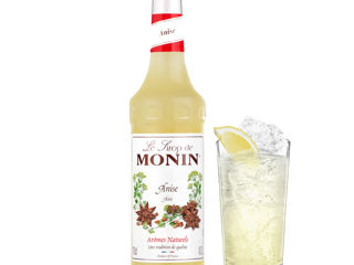 Sirop de Anason Anise Monin 1000 ml, Produs în Franța, Livrare Moldova