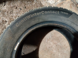 Anvelope iarna Continental ContiWinterContact  TS 850 195/65 R15, 91T foto 3