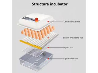 Incubator pentru oua Demetra DM-120- livrare-credit foto 2