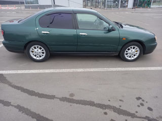 Nissan Primera foto 3