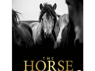 The Horse Encyclopedia, DK books