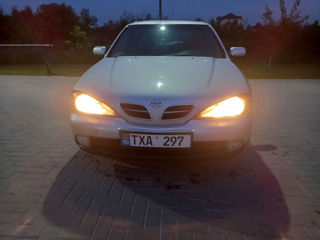 Nissan Primera foto 5