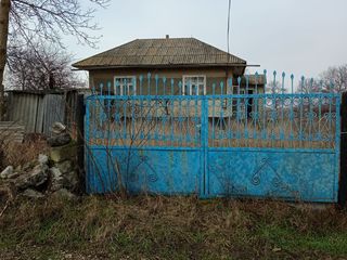 Casa in satul Fetesti rn. Edinet foto 4