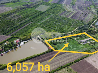 Teren cu destinație agricolă, 6.057 hectare, Ratuș 600 000 € foto 2