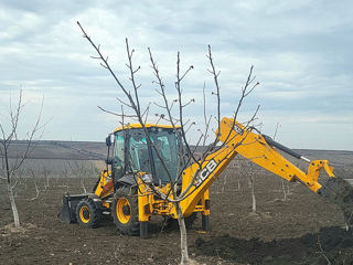 Buldoexcavator JCB 3CX Eco фото 1