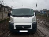 Fiat Ducato 7 Locuri 2008 foto 8