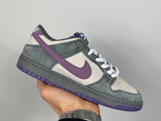 Nike Sb Dunk Low Purple Pigeon