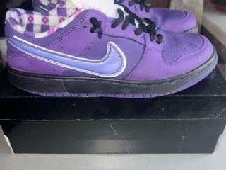 Nike SB dunk purple lobster foto 2