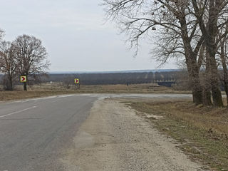 Vindem 65 de hectare de terenagricol(livadă)!!! foto 6