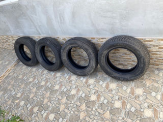 Anvelope iarna Goodyear Ultragrip 9+ 195/65 R15 91T foto 8