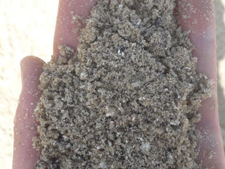 ПГС, галька, щебень, песок, цемент, бут, молуза (налич/перечисл) foto 13