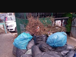 Evacuarea gunoiului rapid și calitativ +Hamali foto 1