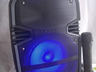 Karaoke - Boxă portabilă 50W, inaltimea 40cm. + Microfon Cadou foto 7