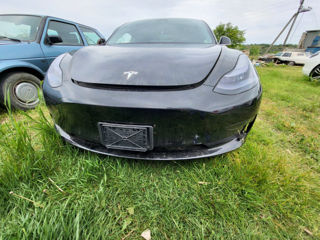 Tesla Model 3 foto 1