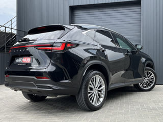 Lexus NX Series foto 6