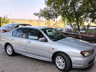 Nissan Primera foto 6