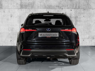 Lexus NX Series foto 4