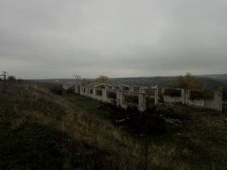 Ферма для животноводства в Шолданештском р-не, На берегу Днестра. foto 10