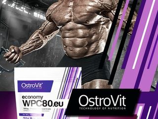 OstroVit-по самой выгодной цене в SportPiitt foto 3