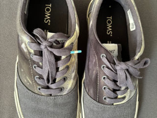 Toms (40)