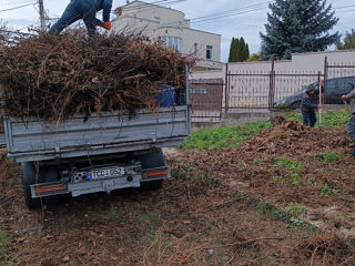 Evacuarea gunoiului de constructie foto 7