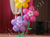 Balonase. cea mai frumoasa sarbatoare pentru copii! Baloane cu Heliu! foto 8