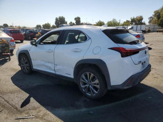 Lexus UX foto 6