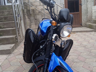 Viper 110