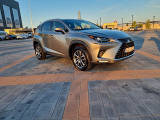 Lexus NX Series