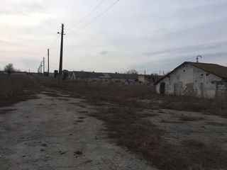 Spatii p/ru producere cu toate retelele pe teren , teren aferent in zona industriala din Drochia foto 8