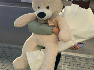 Urs de plus la 1m 100cm 599 lei foto 3