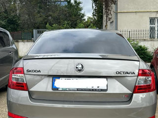 Skoda Octavia foto 2