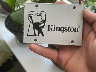 kingston