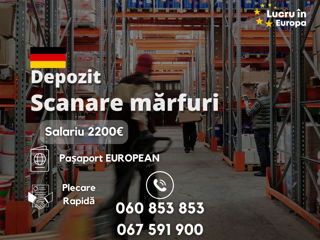 consultareue